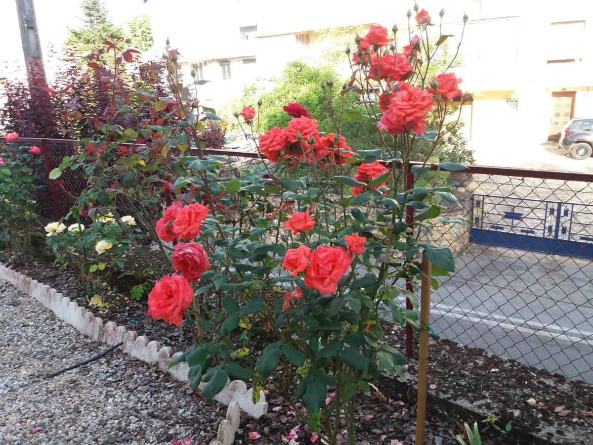 Bed And Breakfast Les Roses Multicolores Du 47 Fumel Dış mekan fotoğraf